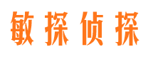 稻城外遇调查取证